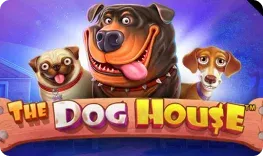 Here2Win – The Dog House